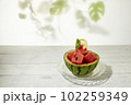 スイカ 102259349