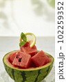 スイカ 102259352
