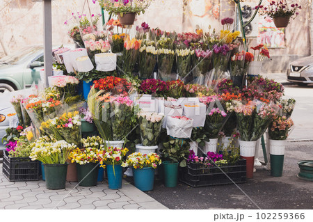 Street flower shop with colourful flowers for gift on holidays or date Street flower shop with colourful flowers for gift on holidays or date 102259366