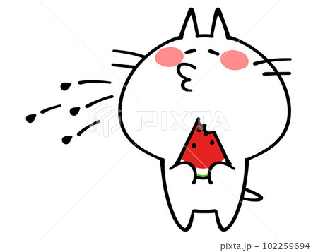 スイカの種飛ばしをするにゃんこイラスト素材 102259694