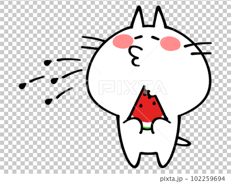 スイカの種飛ばしをするにゃんこイラスト素材 102259694