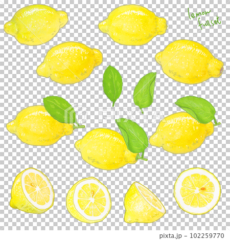 A simple touch of a real lemon illustration A simple touch of a real lemon illustration 102259770