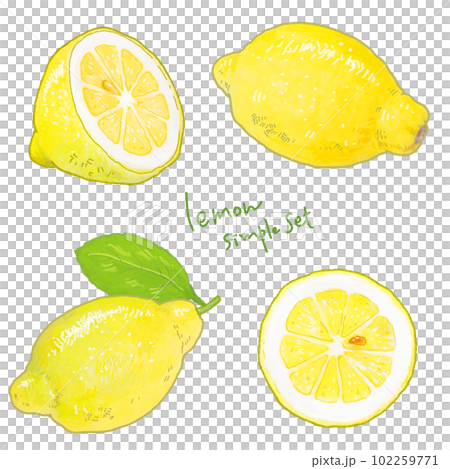 真正的檸檬插圖的簡單觸摸 102259771