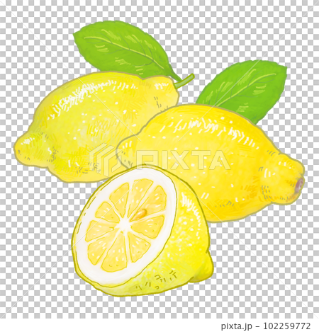 A simple touch of a real lemon illustration 102259772