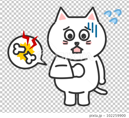 Anthropomorphic illustration of a cat with a broken arm 102259900