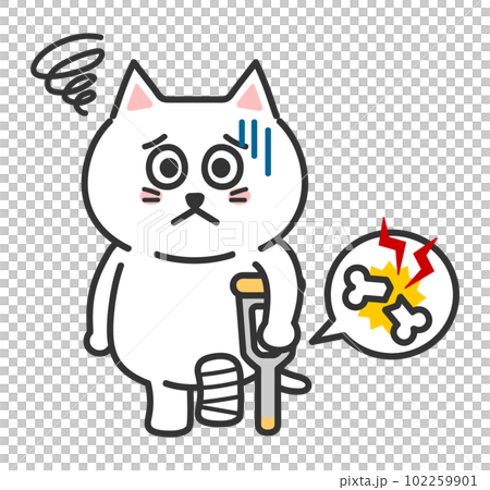 Anthropomorphic illustration of a cat with a broken leg 102259901
