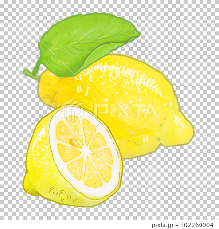 A simple touch of a real lemon illustration 102260004