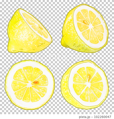 A simple touch of a real lemon illustration A simple touch of a real lemon illustration 102260047