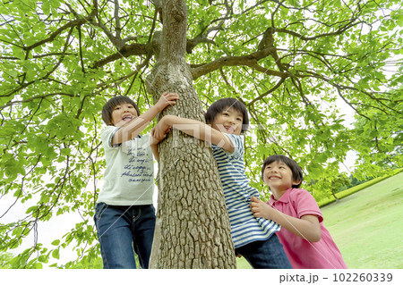 新緑の公園で遊ぶ子供たち 102260339