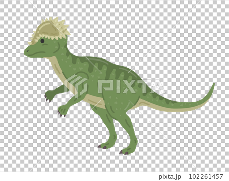 恐龍 pachycephalosaurus 圖 102261457