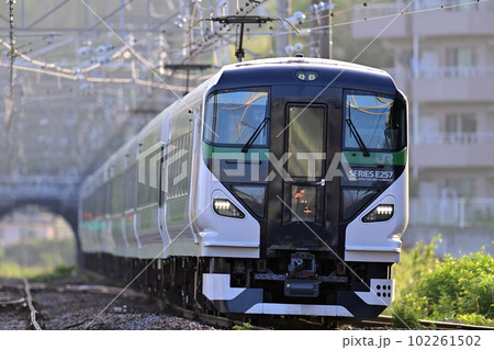 東海道本線　真鶴　JR東日本　E257系5000番台　OM-91編成（大宮）　踊り子 102261502