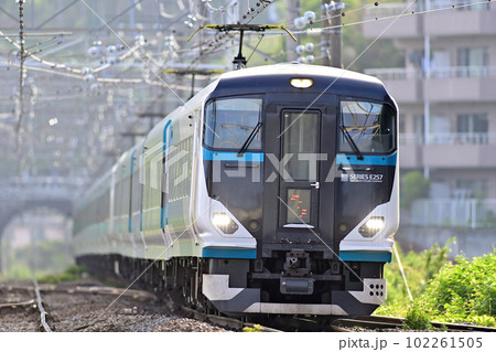 東海道本線 真鶴 JR東日本 E257系2500番台 NC-31編成(大宮) 踊り子 東海道本線 真鶴 JR東日本 E257系2500番台 NC-31編成(大宮) 踊り子 102261505