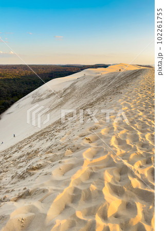 Dune du Pilat, the biggest sand dune in Europe, France. Dune du Pilat, the biggest sand dune in Europe, France. 102261755