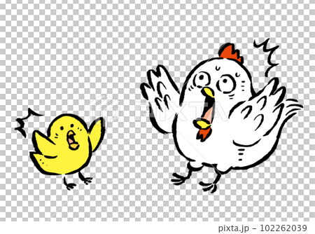 驚く鶏（ニワトリ）とヒヨコの手描きイラスト 102262039