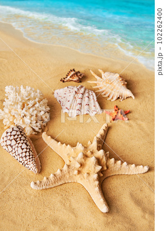 Beautiful summer beach background with different seashells and starfish on sandy seashore and turquoise water 102262400