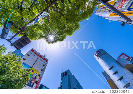 日本の東京都市景観 5月。新緑と眩しい太陽光に映える渋谷109など…紫外線－熱中症にも注意＝2日 102263045