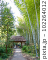 竹林と藁葺き屋根 102264012