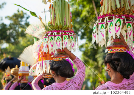 Procession of beautiful Balinese women in traditional costumes 102264493