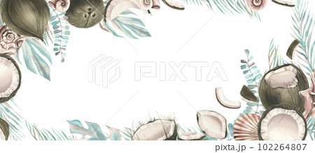 Whole coconuts and slices with tropical palm leaves and seashells. Watercolor illustration. Template on a white background from the collection of COCONUTS. For the dcoration and design. 102264807