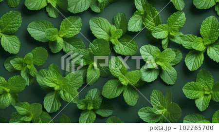 Aromatic Mint Herbs Photorealistic Horizontal Background. Healthy Vegetarian Diet. Ai Generated Hyperrealistic Background with Delicious Aromatic Mint Herbs. 102265700