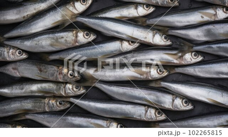 Fresh Organic Herring Fish Photorealistic Horizontal Background. Healthy Seafood Diet. Ai Generated Hyperrealistic Background with Delicious Gourmet Herring Fish. Fresh Organic Herring Fish Photorealistic Horizontal Background. Healthy Seafood Diet. Ai Generated Hyperrealistic Background with Delicious Gourmet Herring Fish. 102265815