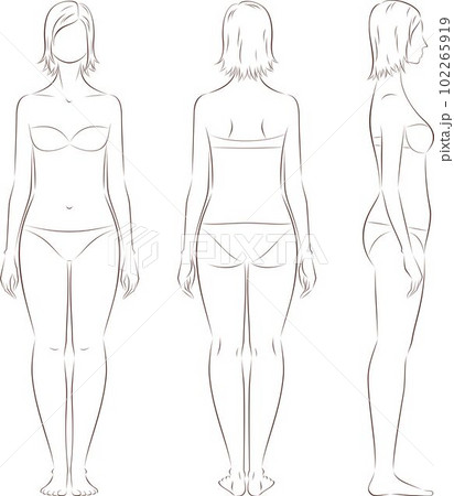 Female figure. Front, back, side.のイラスト素材 [102265919] - PIXTA