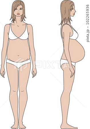 Pregnant female figure template. Front and side. Pregnant female figure template. Front and side. 102265936