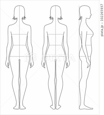Female figure template. Fashion croquis. Female figure template. Fashion croquis. 102265937