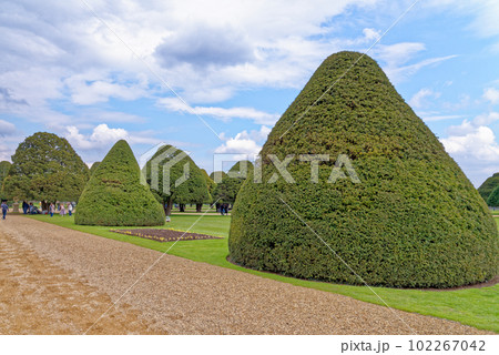 The Formal Gardens of Hampton Court Palace 102267042