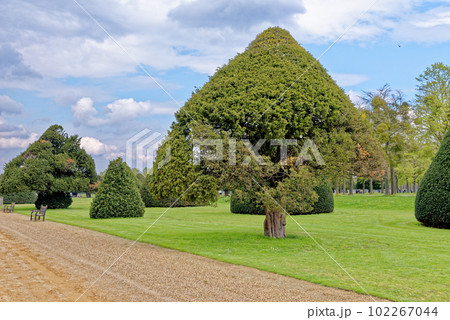 The Formal Gardens of Hampton Court Palace 102267044
