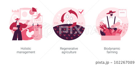 Virus protection abstract concept vector illustration set. Office disinfection service, public place sanitizing, home sterilization, clean workspace, personal protection, chemical abstract metaphor. 102267089
