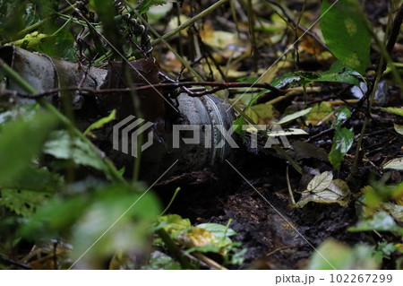 Piece of Russian missile in the forest, ukraine, rocket in the woods  102267299