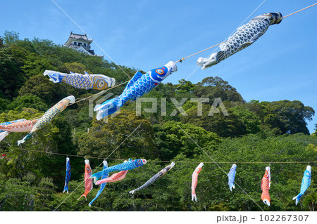 館山城と鯉のぼり　館山市 102267307