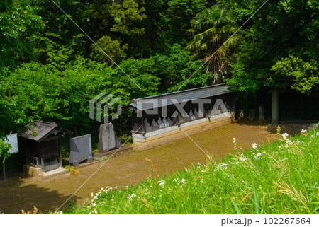千葉県流山市利根運河大師堂2023年5月 102267664