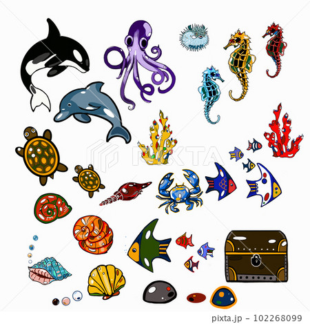 sea set, dolphin, whale, shark, fish, turtle, shell, pearl sea set, dolphin, whale, shark, fish, turtle, shell, pearl 102268099