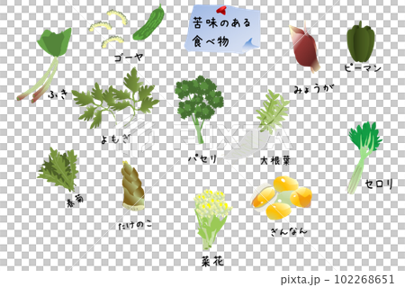苦い食べ物のイラストセット 102268651