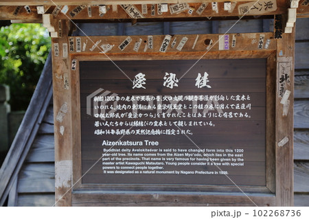 北向観音、愛染桂の案内板 102268736