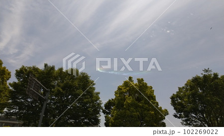 20230503_彩虹 102269022
