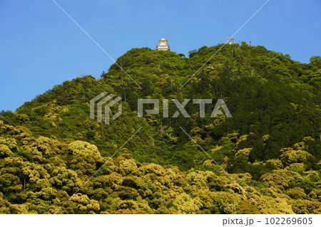 ツブラジイの咲く金華山と岐阜城 102269605
