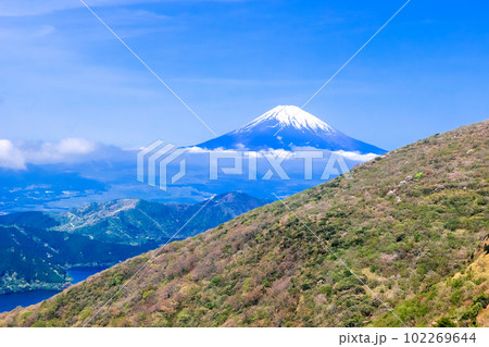 駒ヶ岳ロー王ウェイから富士山 102269644