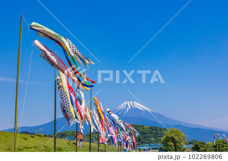 富士山を背に、青空を泳ぐ鯉のぼり 102269806