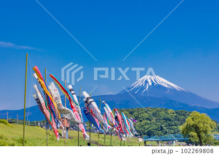 富士山を背に、青空を泳ぐ鯉のぼり 富士山を背に、青空を泳ぐ鯉のぼり 102269808