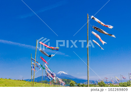 富士山を背に、青空を泳ぐ鯉のぼり 富士山を背に、青空を泳ぐ鯉のぼり 102269809