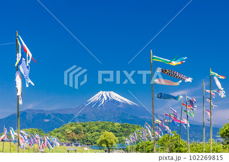富士山を背に、青空を泳ぐ鯉のぼり 富士山を背に、青空を泳ぐ鯉のぼり 102269815