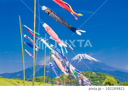 富士山を背に、青空を泳ぐ鯉のぼり 富士山を背に、青空を泳ぐ鯉のぼり 102269821