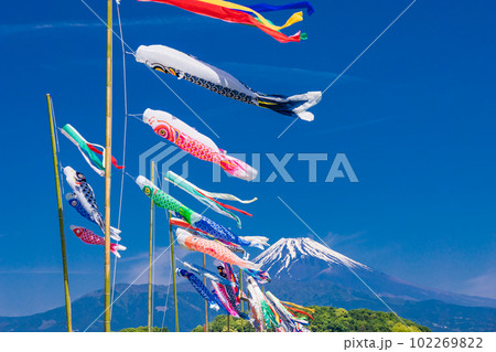 富士山を背に、青空を泳ぐ鯉のぼり 102269822