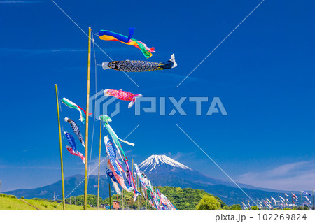 富士山を背に、青空を泳ぐ鯉のぼり 102269824