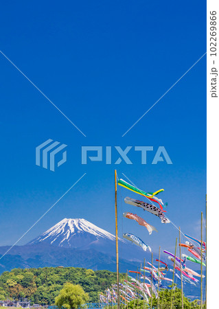 富士山を背に青空を泳ぐ鯉のぼり 富士山を背に青空を泳ぐ鯉のぼり 102269866