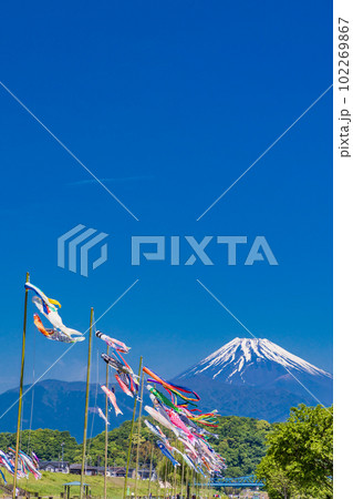 富士山を背に青空を泳ぐ鯉のぼり 富士山を背に青空を泳ぐ鯉のぼり 102269867