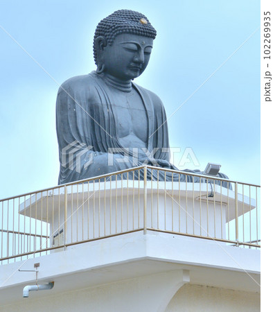 伊豆稲取 正定寺大仏 102269935